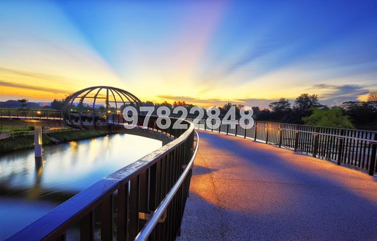 Blk 614A Edgefield Plains (Punggol), HDB 4 Rooms #122191022